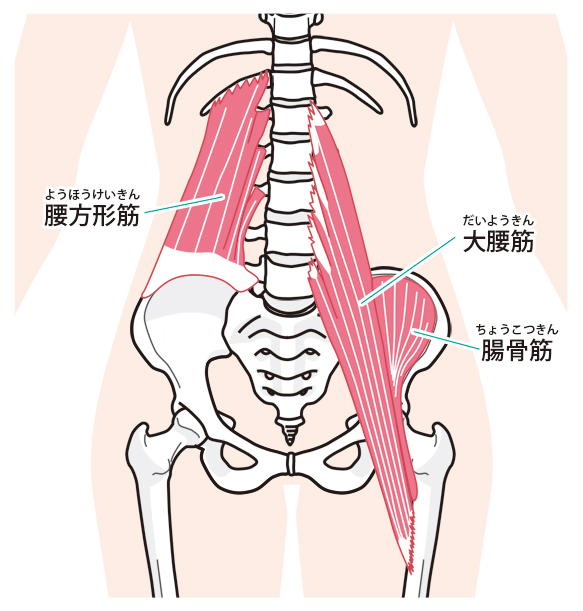 大腰筋 