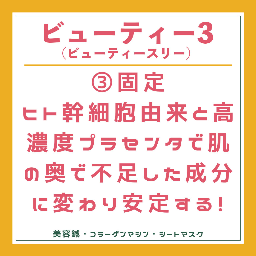ビューティー3 固定 